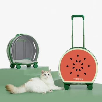 Şeffaf Pembe Yeşil Kapsül Arabası Haddeleme Pet Seyahat Arabası Yavru Köpekler Kedi Taşıyıcıları tekerlekli çanta evcil hayvan taşıyıcı