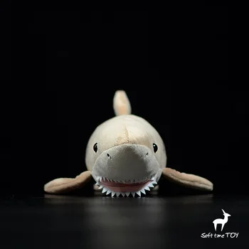 hediye kaplan köpekbalığı modeli