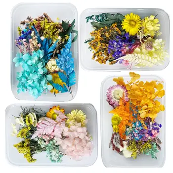 4 kutu Gerçek Kurutulmuş Çiçek Seti, Kuru Ortancalar Papatya DIY Mum Epoksi Reçine Zanaat Döküm Kalıp Araçları Takı Yapma Aksesuarları
